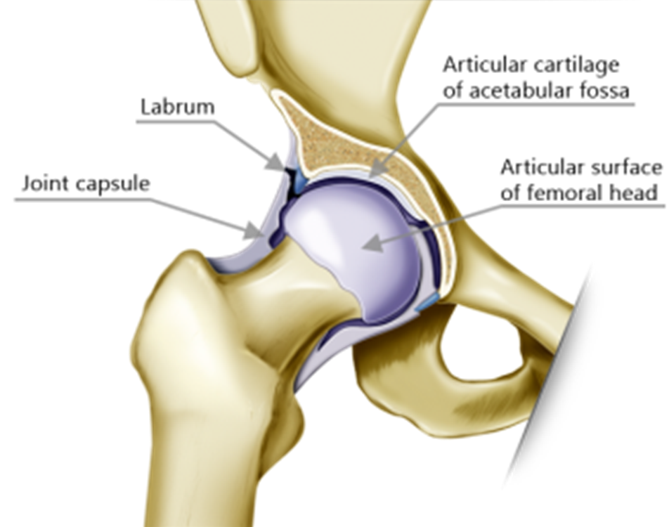 hip-labral-tear-rehab-on-the-road